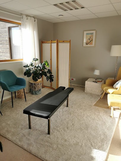 Ostéopathe Chloé François, Ostéopathe à Guipel