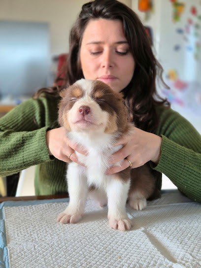 Amélia Grassiot, Ostéopathe à Saint-Vincent-de-Tyrosse