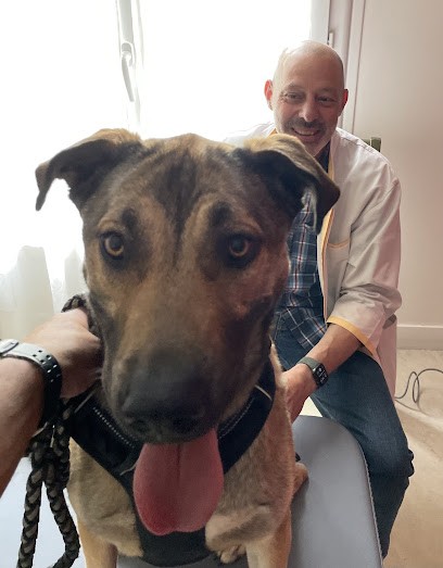 Valletta Stephane Cabinet D'Ostéopathie Structurelle , Ostéopathie Canine., Ostéopathe à Chennevières-sur-Marne