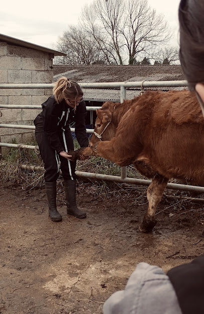 Margaux Chadelaud Ostéopathe Animalier Ostéopathe à Sérilhac