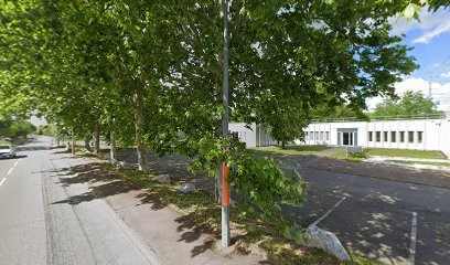 Ecole Occitane D' Ostéopathie Animale, Ostéopathe à Labège