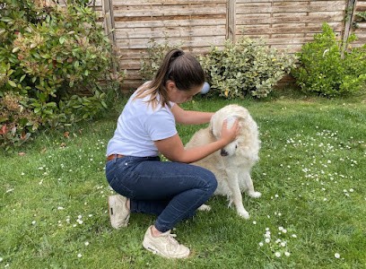 Constance Balland Ostéopathe Pour Animaux, Ostéopathe à Orgeval