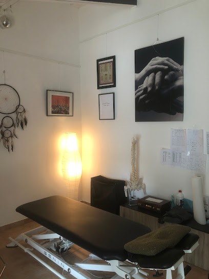 Alexandre PICAVET, Ostéopathe au Thoronet