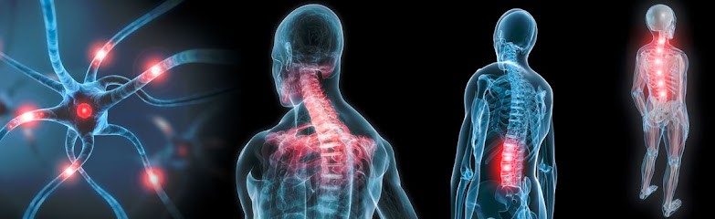 Ostéopathe. Gwenaelle Moysan, Ostéopathe Ézanville, Ostéopathe à Ézanville