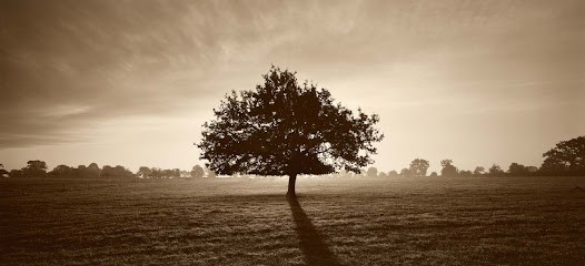 Berthelot Edouard - Ostéopathe -Kinésithérapeute, Ostéopathe à Hédé-Bazouges