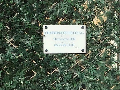 Ostéopathe D.0 Chatron-Colliet Olivia Le Bar Sur Loup, Ostéopathe au Bar-sur-Loup