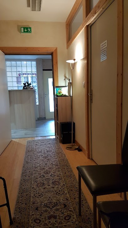 SOKHAN SANJ Sina, Ostéopathe à Saint-Cergues