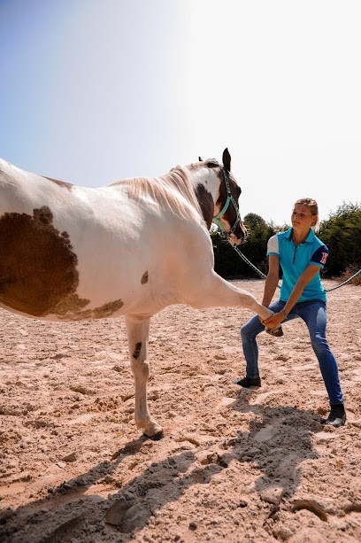 Ostéopathe animalier - May'Ostéo Mayenne (chevaux, chien, chat, NAC, bovin...), Ostéopathe à Voutré