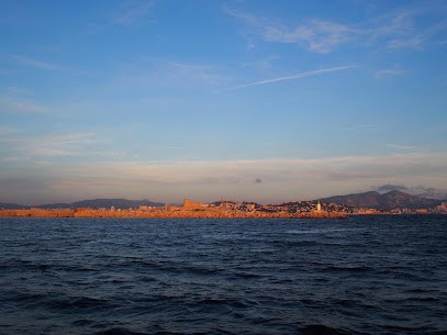 Nicolas Richardson Ostéopathe D.O., Ostéopathe à Marseille 07