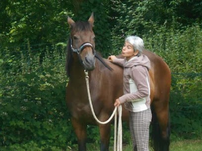 Ecurie Equiplus, Ostéopathe au Bernard
