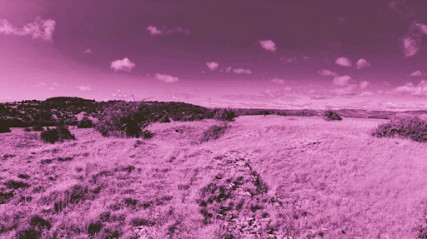 Clotault Aurélie, Ostéopathe au Rheu