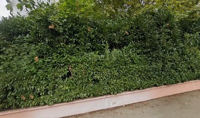 Pierre Pelletier, Ostéopathe à Montmerle-sur-Saône