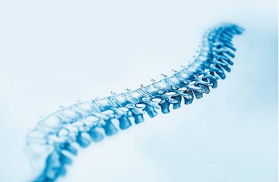 Noémie SALMON Ostéopathe D.O., Ostéopathe à Chartres-de-Bretagne