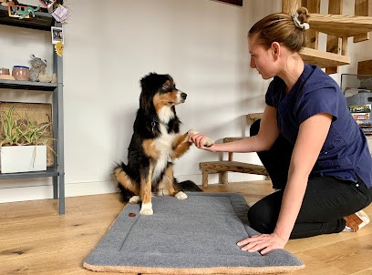 Ostéopathe animalier - Aude Barbet - chiens, chats, chevaux - Haute Savoie, Ostéopathe à Doussard