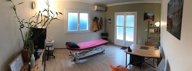 Maxime Carmouze Ostéopathe, Ostéopathe à Saint-Lys