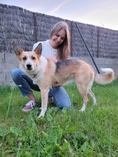 Ostéopathe animalier - Lillion Cartier (Cheval | Chien | Chat | Vache | Ovin), Ostéopathe à Messery