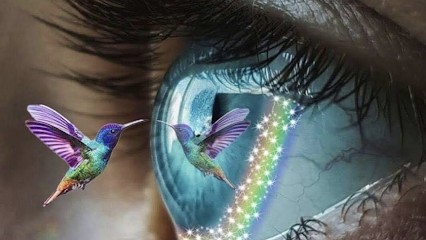 Ostéopathe Mulhouse - Martine Busch, Ostéopathe à Riedisheim