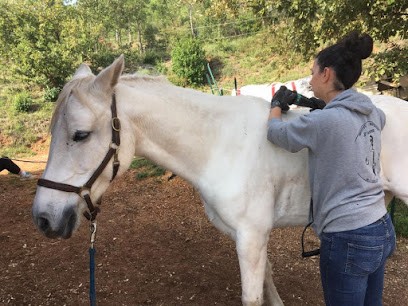 Marine Bonet Kryshine, Ostéopathe à La Crau