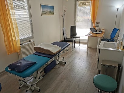 Ostéopathe LAMBERBOURG Thomas D.O Depuis 2009, Ostéopathe à Montbonnot-Saint-Martin