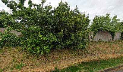 Ostéopathe D.O.- Lallement Thibault, Pédernec, Ostéopathe à Pédernec