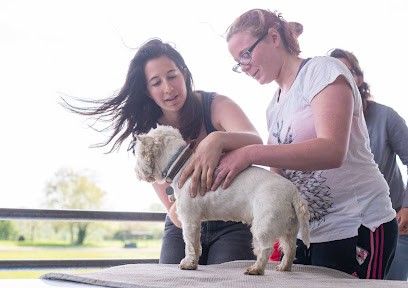 Areg Animalcare, Ostéopathe à Darvoy