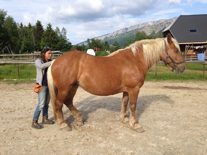 Dostert Henzinski Alice - Osteopathe Animalier, Ostéopathe au Noyer