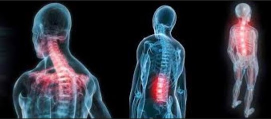 CHARLOTTE SCHIAVINATO, Ostéopathe à Pithiviers