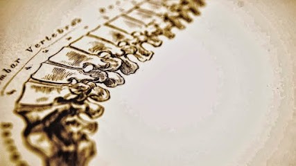 CURTET Xavier Ostéopathe DO - TO, Ostéopathe à Vinay