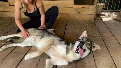 Cabinet D’Ostéopathie Animale Estelle CHAUVET : Chiens, Chats Et Nacs, Ostéopathe à Nalliers