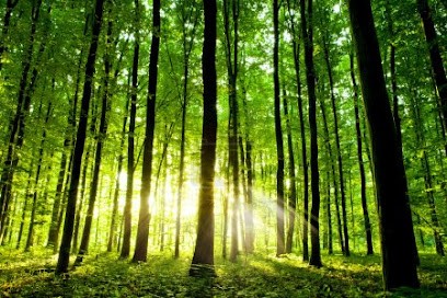 Guillaume Richard Ostéopathe, Ostéopathe à Villebon-sur-Yvette