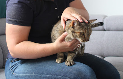 Etiopoils - Etiopathie Animale, Ostéopathe à Azay-le-Brûlé