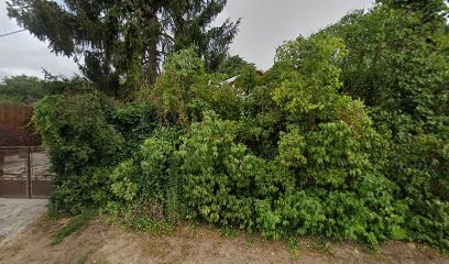 Osteopathe Elodie Tacheboubet, Ostéopathe à Coye-la-Forêt