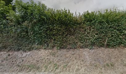 Fredy Emmanuel Paul, Ostéopathe à Chénérailles