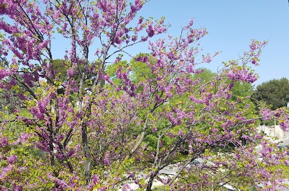 Faglia-Requena Nathalie, Ostéopathe à Aubagne