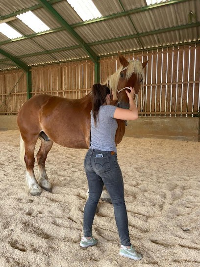 Justine Cordier Ostéopathe Animalier, Ostéopathe à Oyonnax