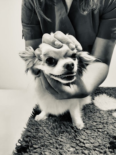 Ostéopathe Canin Et équin Mignot Pauline OA51 (Chiens & Chevaux), Ostéopathe à Lachaux