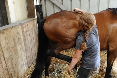 Audrey Haslé Ostéopathe Animalier, Ostéopathe à Saint-Aubin-le-Dépeint