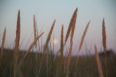 CHAMINADOUR Lucie, Ostéopathe D.O., Ostéopathe à Angé
