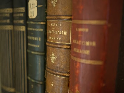 Kévin DUMAY Ostéopathe, Ostéopathe à Saint-Sernin-du-Bois