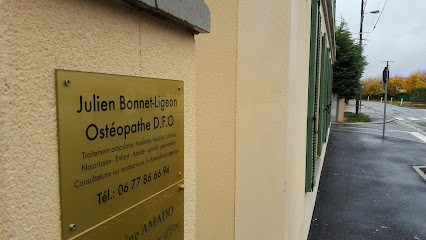 Julien Bonnet-Ligeon Ostéopathe 77 Cabinet Et Domicile Urgence Neufmoutiers En Brie, Ostéopathe à Neufmoutiers-en-Brie