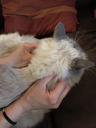 Julie Hadji Rezai, Ostéopathe à Dax