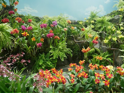 Caroline Billon Ostéopathe D.O. Saint Marcellin, Ostéopathe à Saint-Marcellin