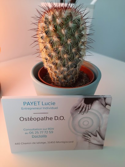 Lucie Payet - Ostéopathe D.O, Ostéopathe à Montgiscard