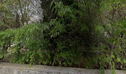 Brision Guillaume, Ostéopathe à Draguignan