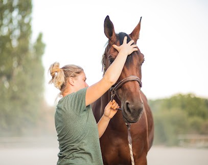 Complexe Le Colibri - Centre De Soins Et De Remise En Forme Pour Animaux 💦, Ostéopathe à Vaulx-en-Velin