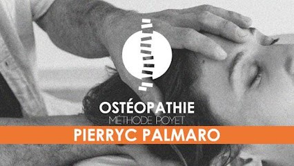 Pierryc Palmaro, Ostéopathe à Palau-del-Vidre