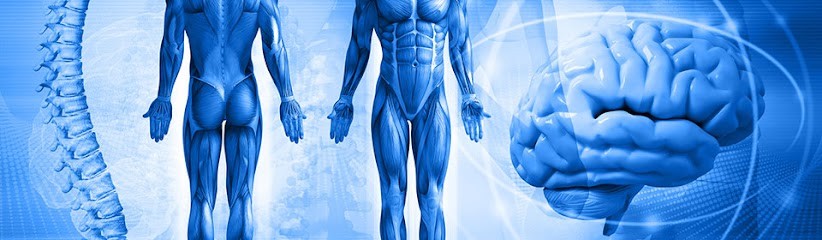 VAUVRAY Robin - Ostéopathe D.O St Jacques De La Lande, Ostéopathe à Saint-Jacques-de-la-Lande