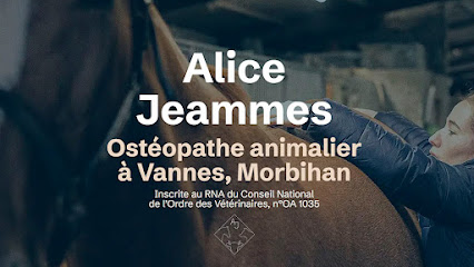 Alice Jeammes - Ostéopathe Animalier - Vannes, Morbihan Ostéopathe à Theix-Noyalo