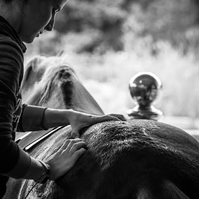 Laura Dupuy Ostéopathe Humain Et Animalier, Ostéopathe à La Bernerie-en-Retz