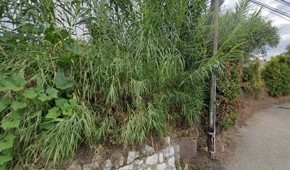 Jourdy Patrice, Ostéopathe à Vence